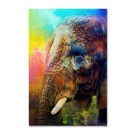 Jai Johnson 'Colorful Expressions Elephant' Canvas Art,16x24